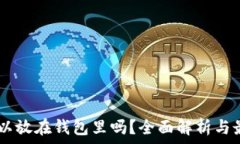  USDT可以放在钱包里吗？全面解析与最佳选择