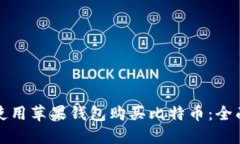 如何使用苹果钱包购买比特币：全面指南