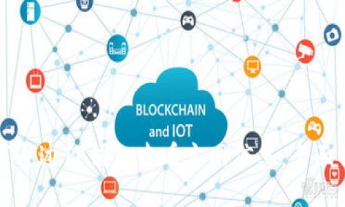 如何通过TP钱包查看主网信息：全面指南