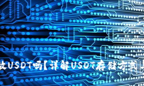 所有都能放USDT吗？详解USDT存储方式与选择指南